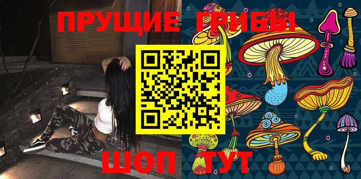 Галлюциногенные грибы GOLDEN TEACHER Жуковский