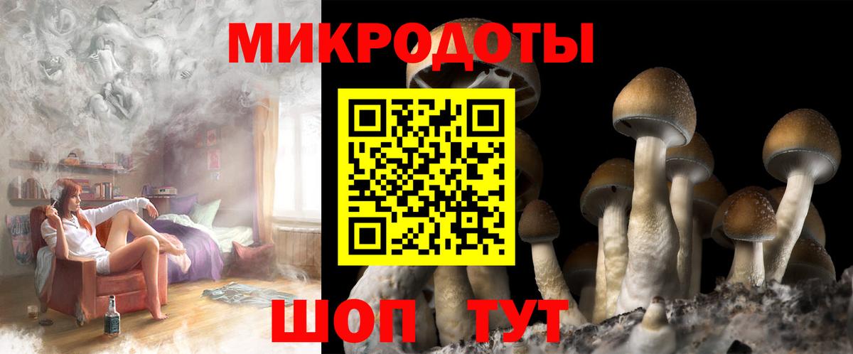 Жуковский  Псилоцибиновые грибы прущие грибы  Вход с VPN 
